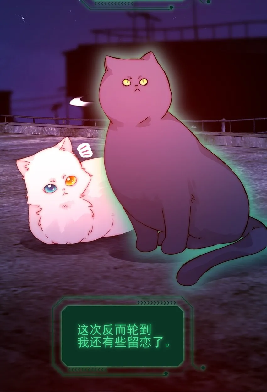 090 来世再见24