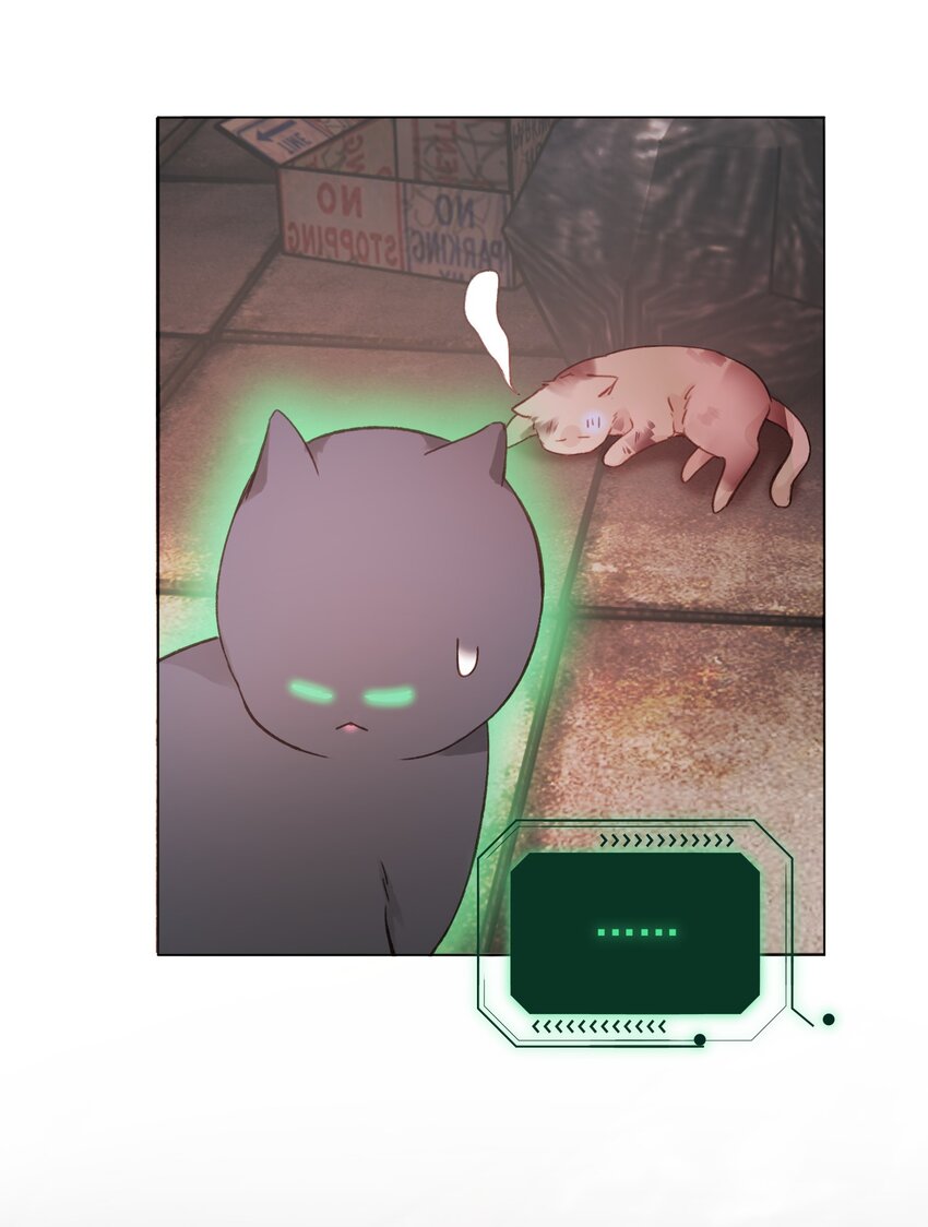 065 我是替身吗？4