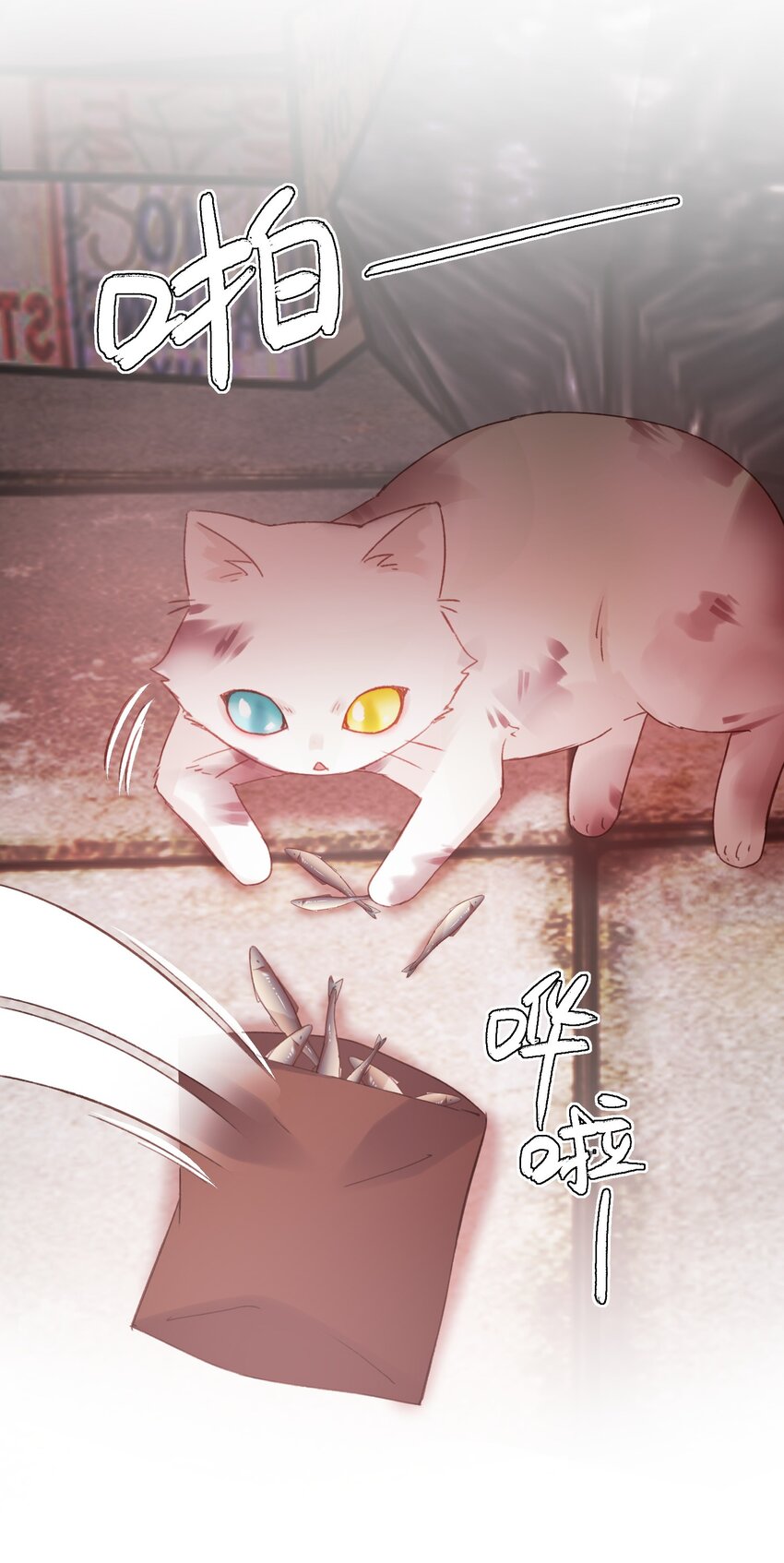 065 我是替身吗？5