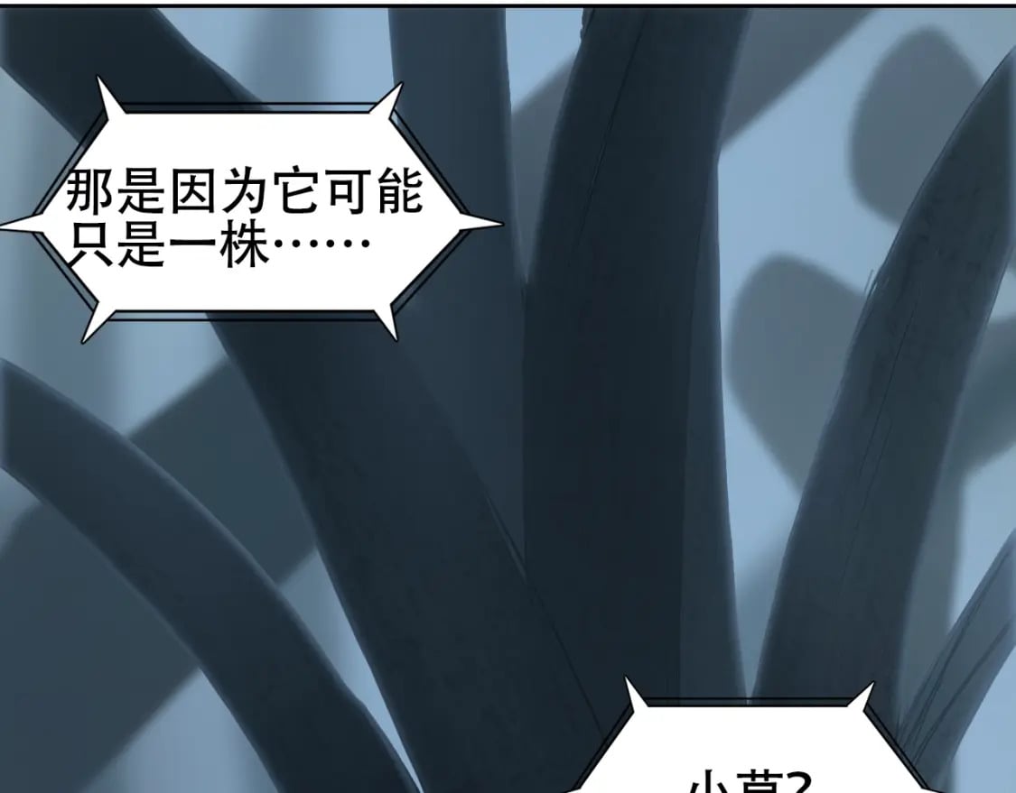 第314话 大领主模板39