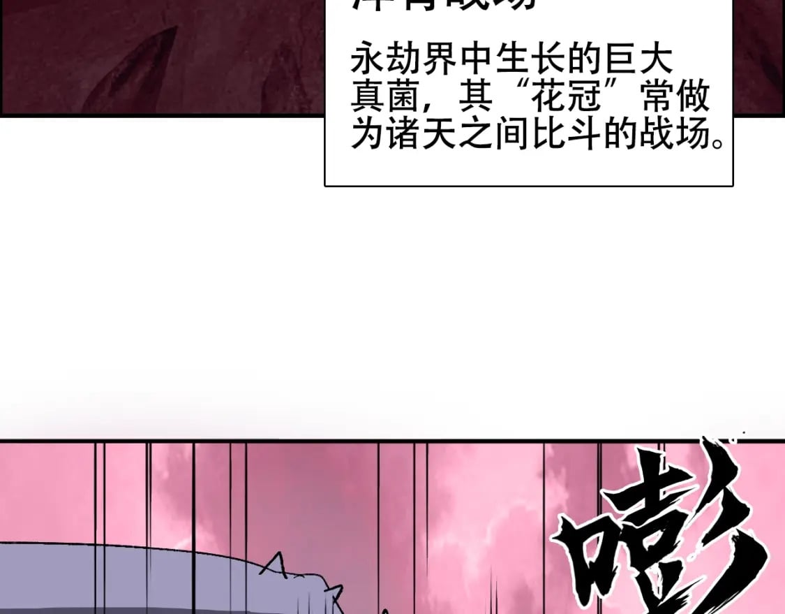 第316话 迎战善生天112