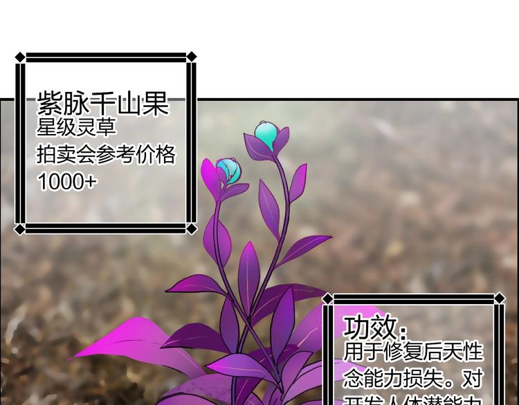 第119话 星级强者81