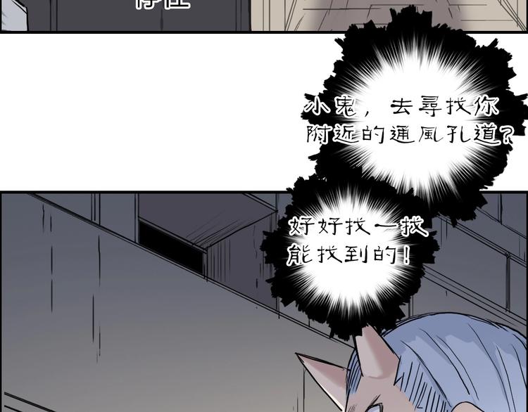 第213话 此处别有洞天19