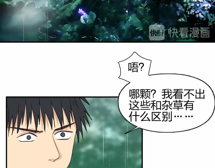 第119话 星级强者102