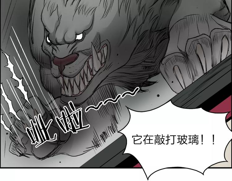 第34话 力量才是秩序18