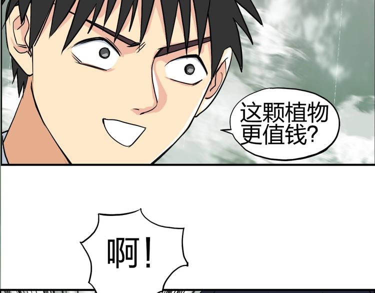 第120话 恶魔金币16