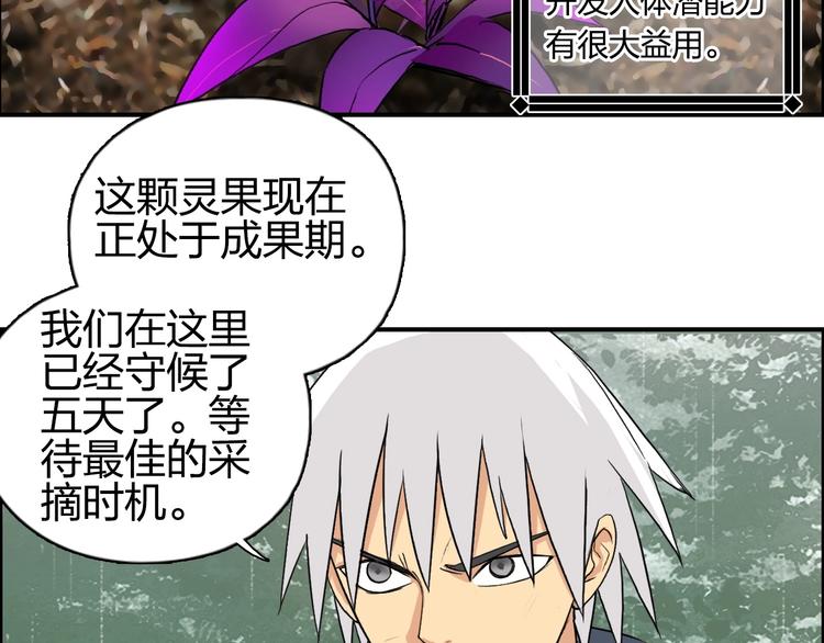 第119话 星级强者82