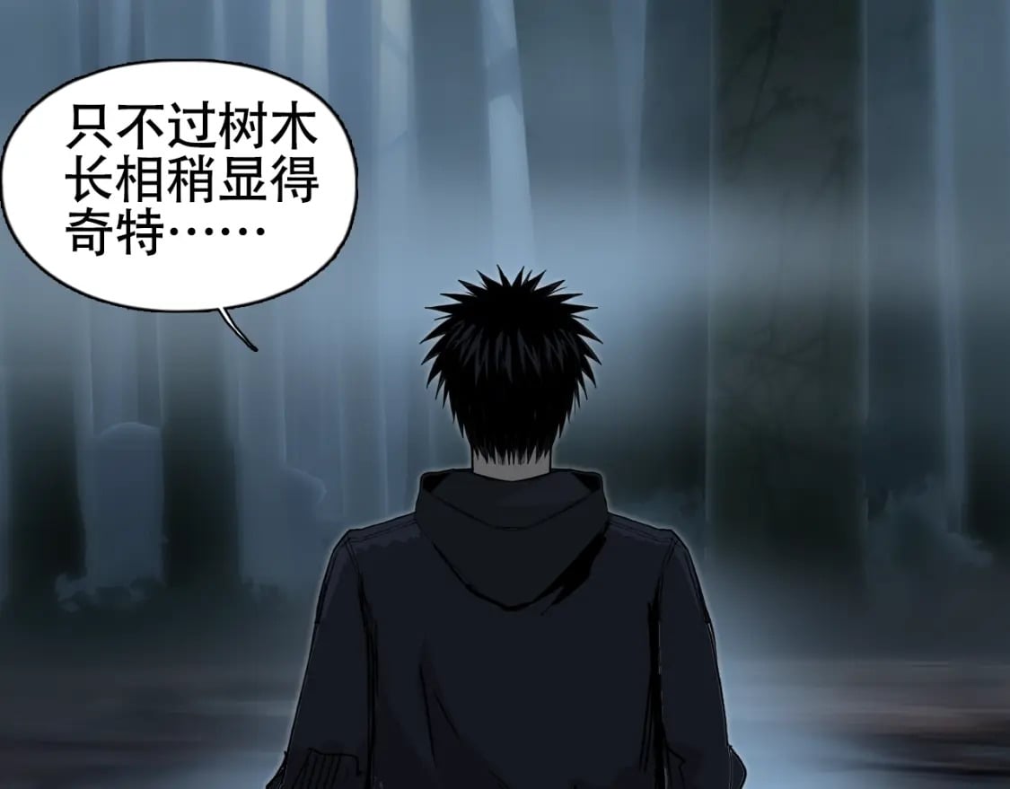 第314话 大领主模板36