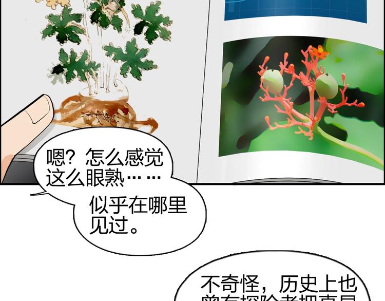 第117话 源雾森林87