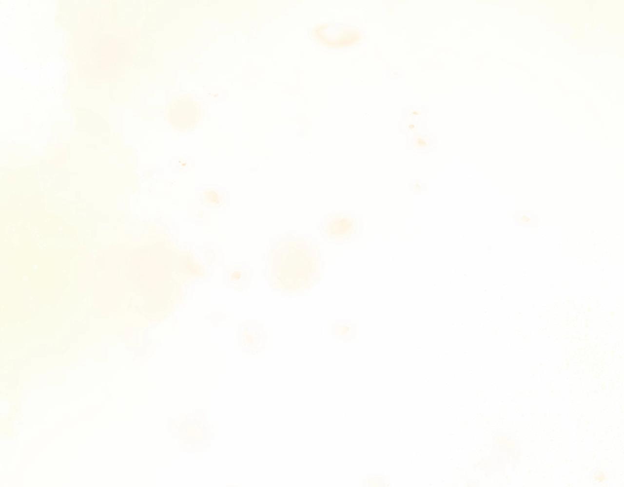 第64话 父亲的肩膀66