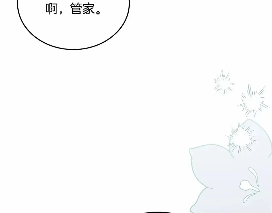 第三季·启243