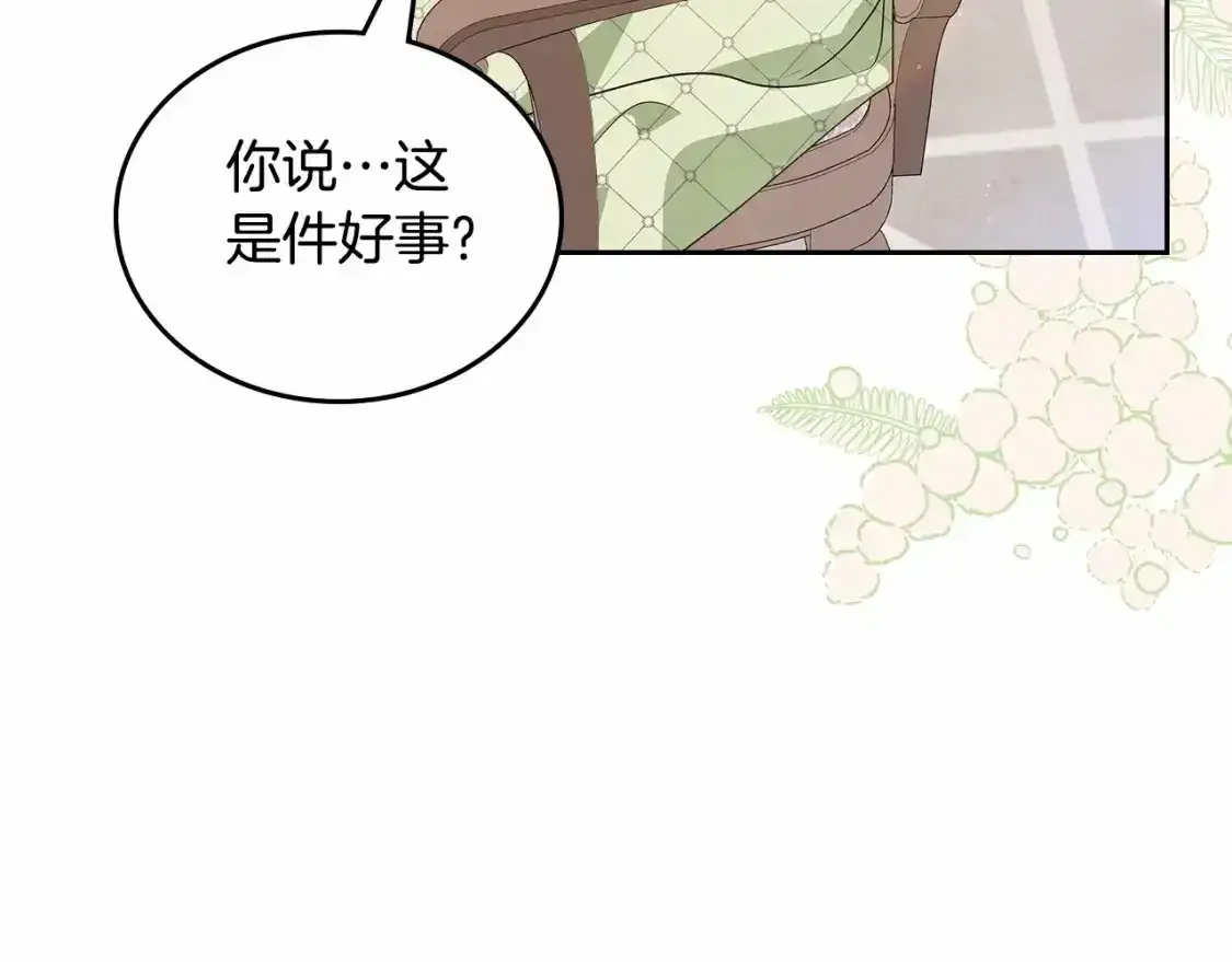 第三季·启113