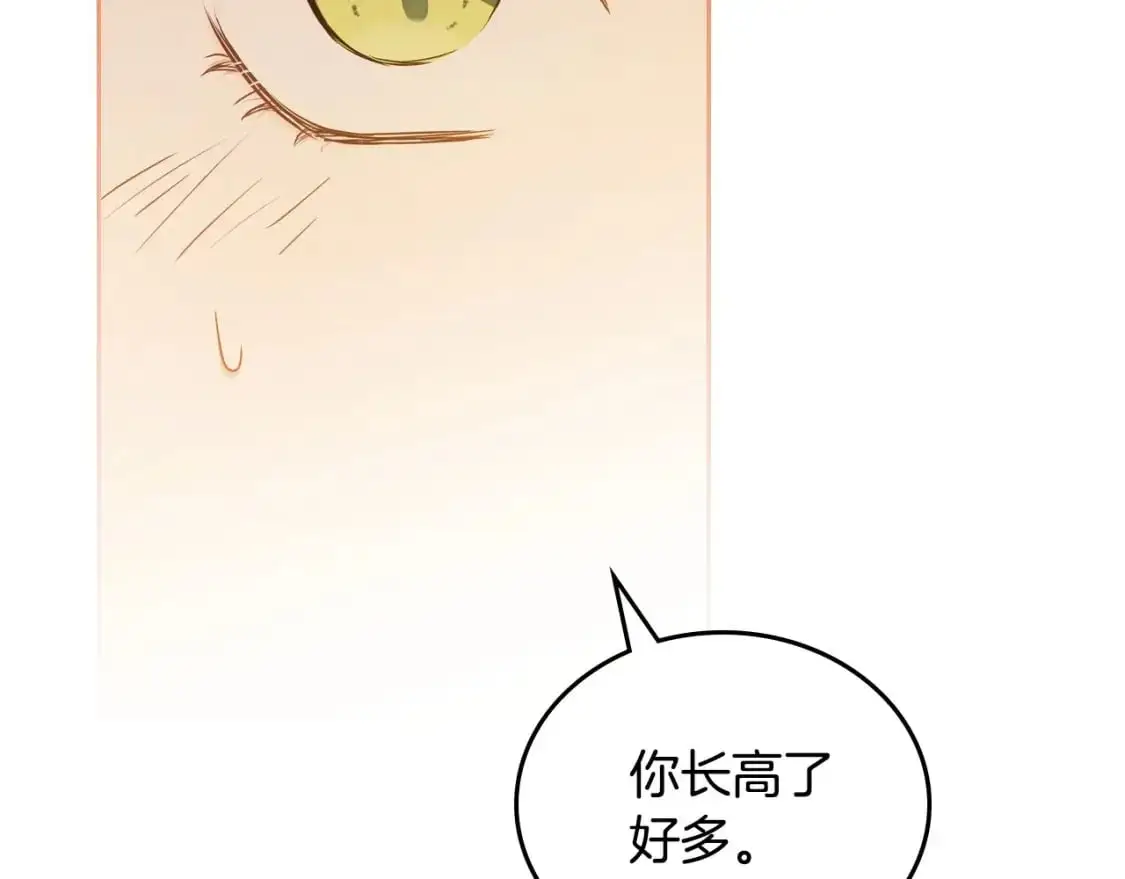 第126话 你是哪位？238
