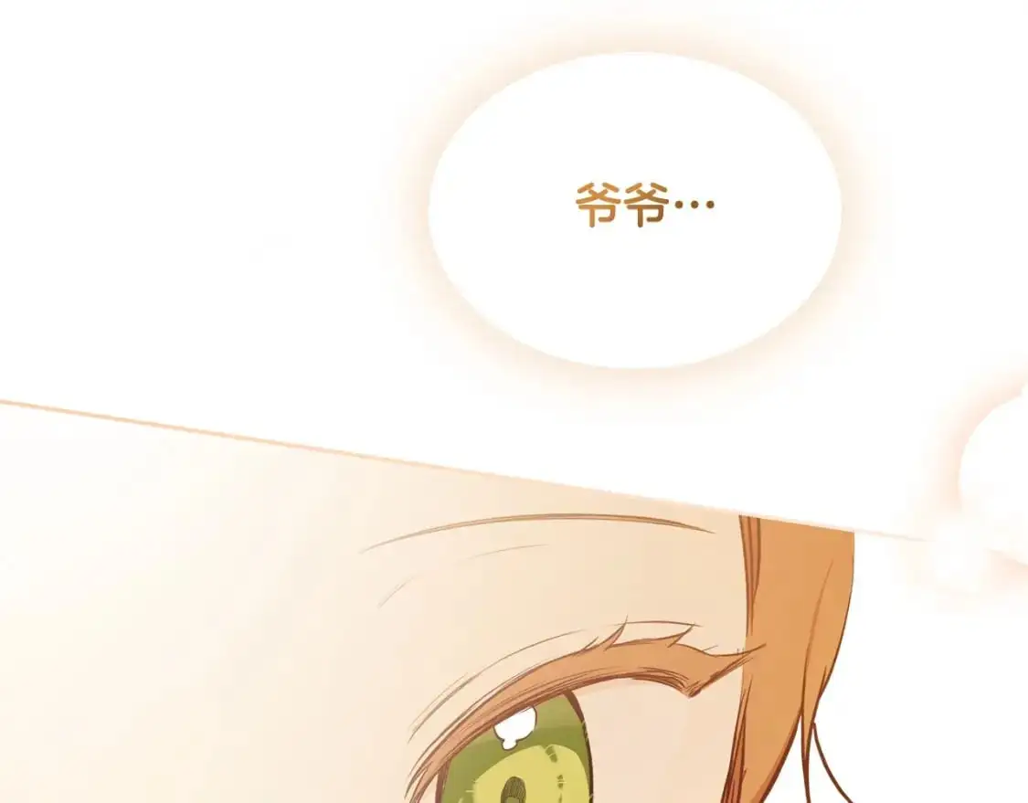 第120话 看望爷爷的主意156