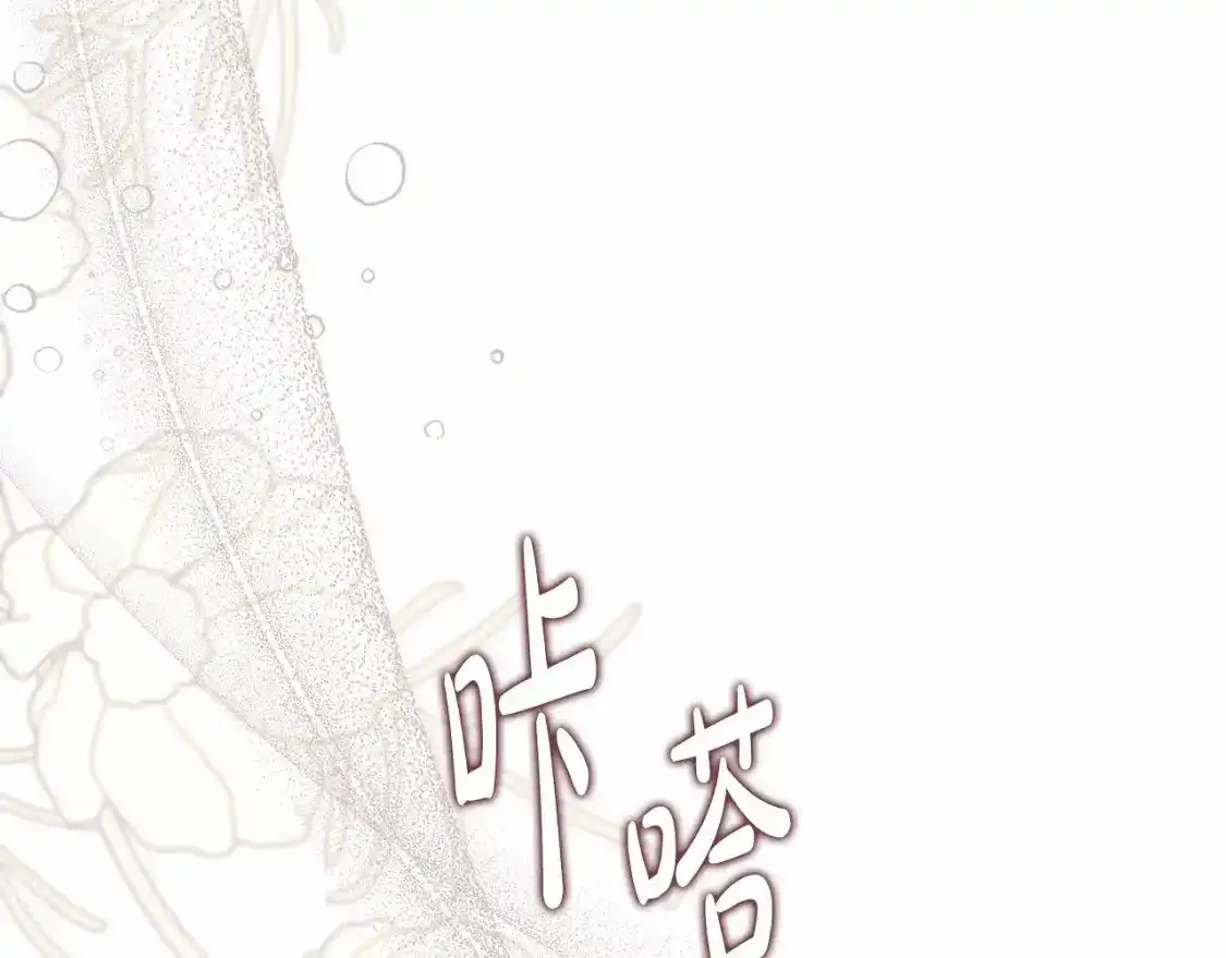 第三季·启255