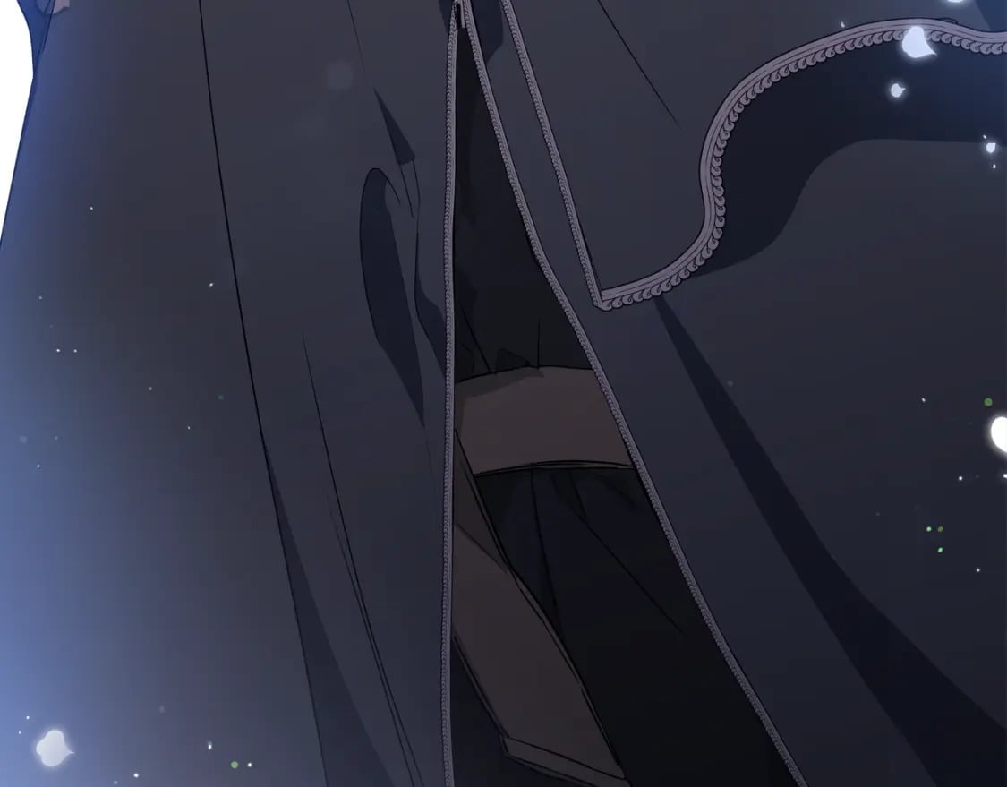 第117话 蒂亚，你不可以忘记我283