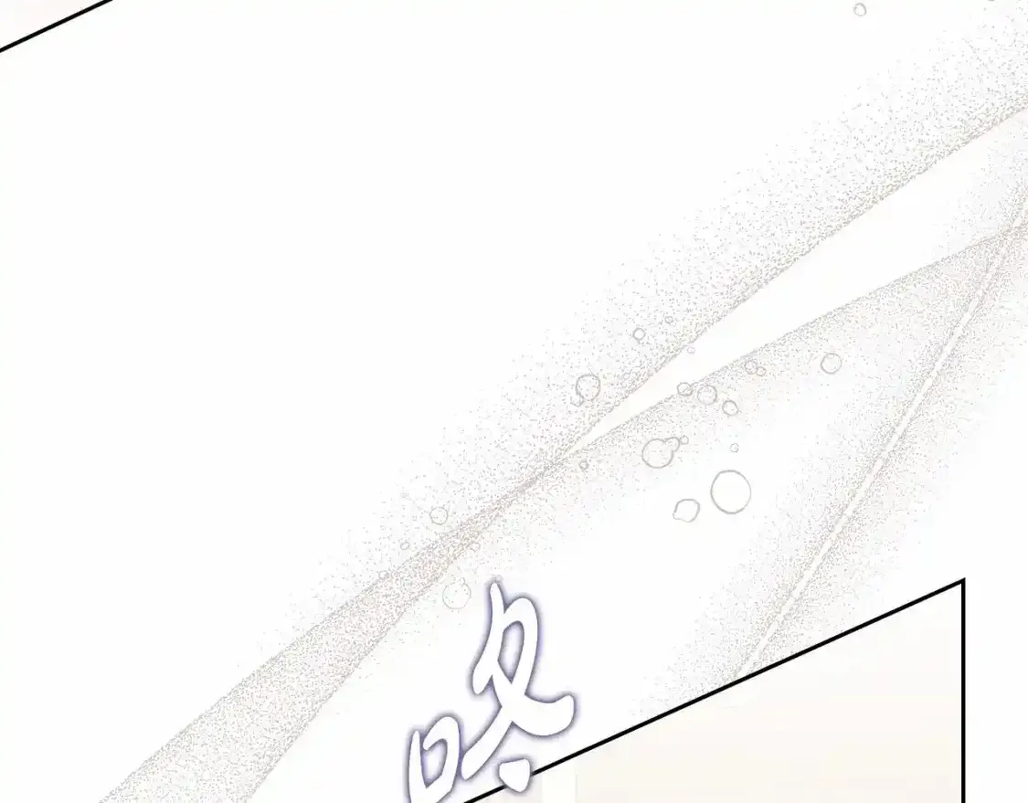 第三季·启252
