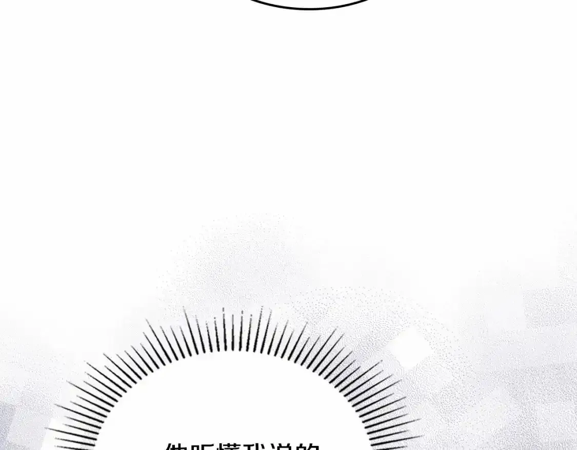 第三季·启205