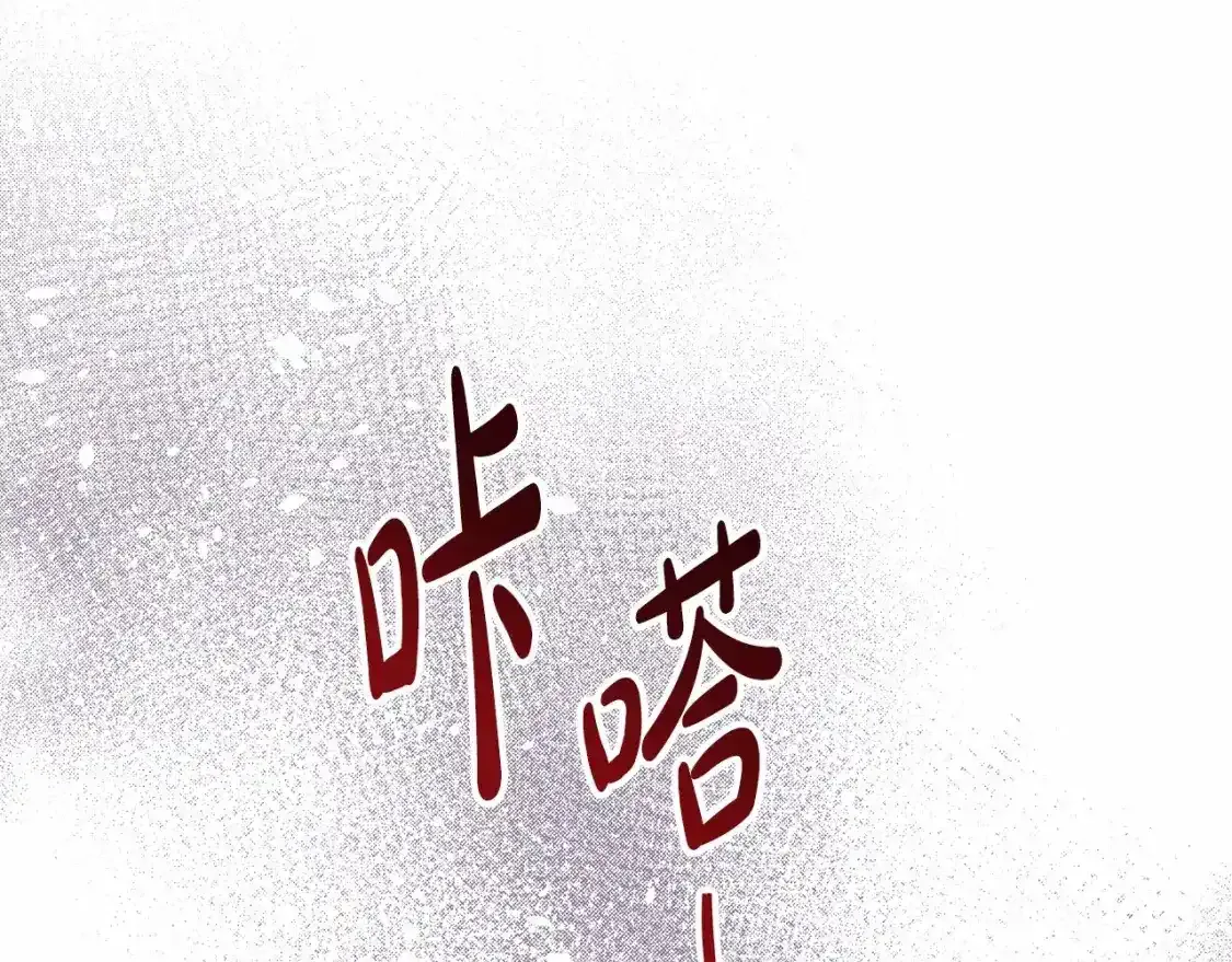 第三季·启235