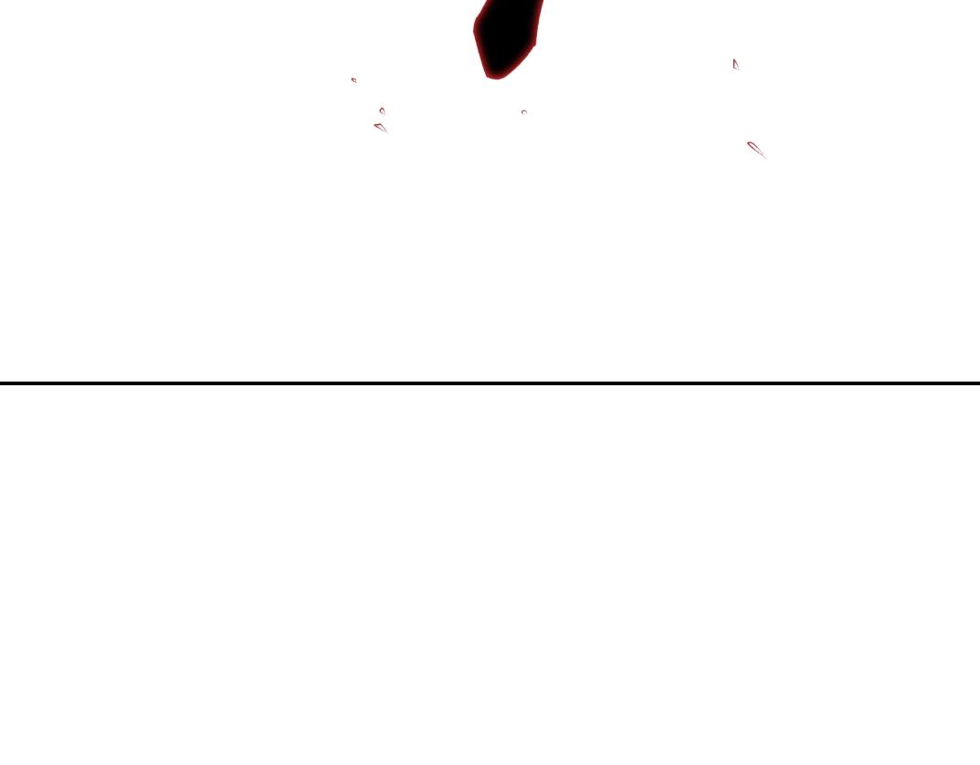 第83话 雷霆行动31