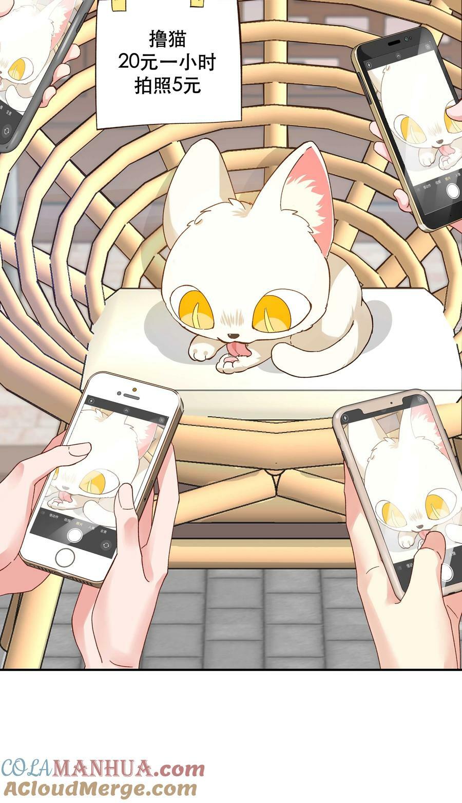 120 小~猫~咪~34