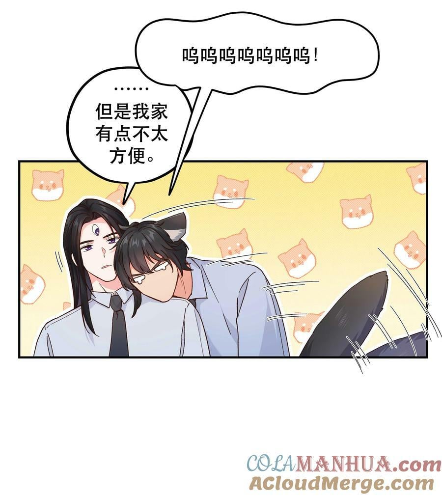 120 小~猫~咪~22