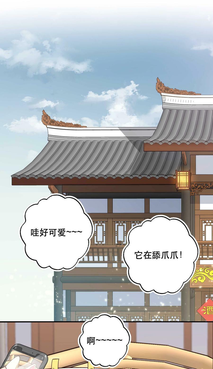 120 小~猫~咪~33