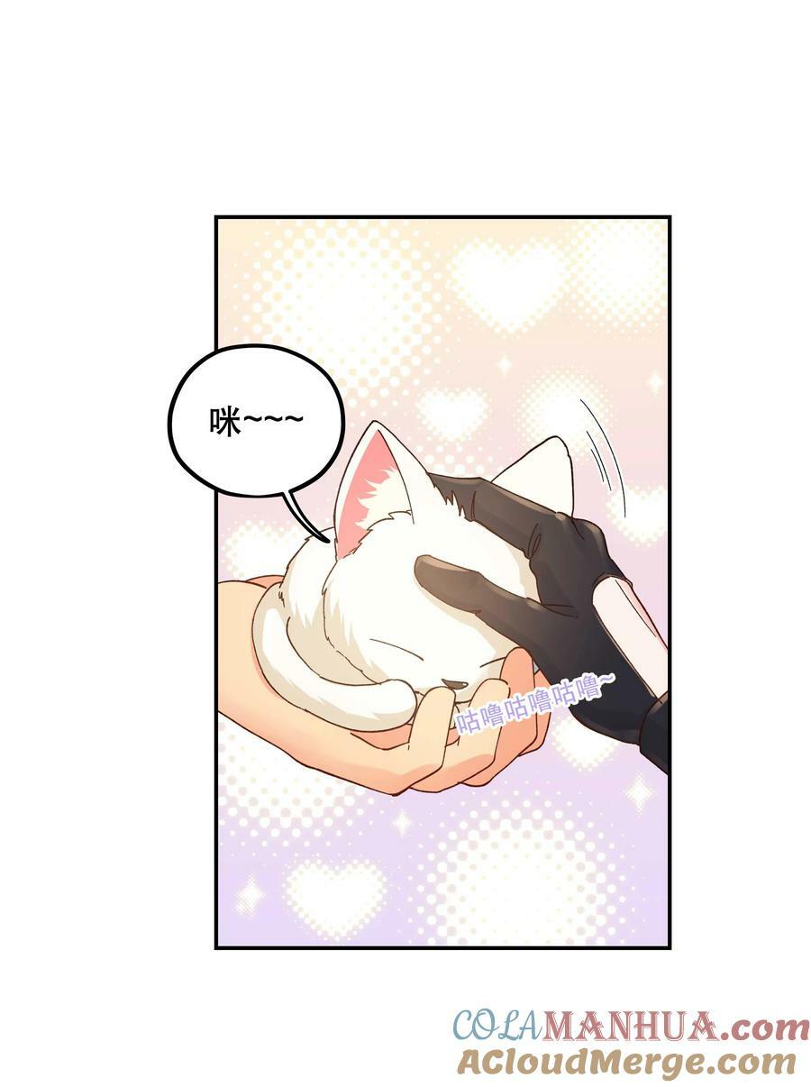120 小~猫~咪~28