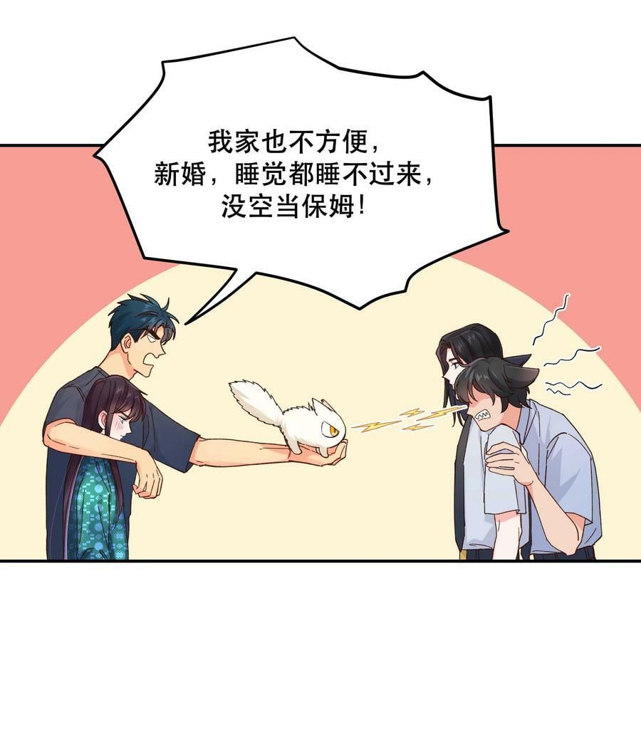 120 小~猫~咪~23