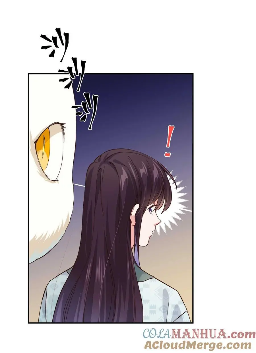 137 最弱的一个？8