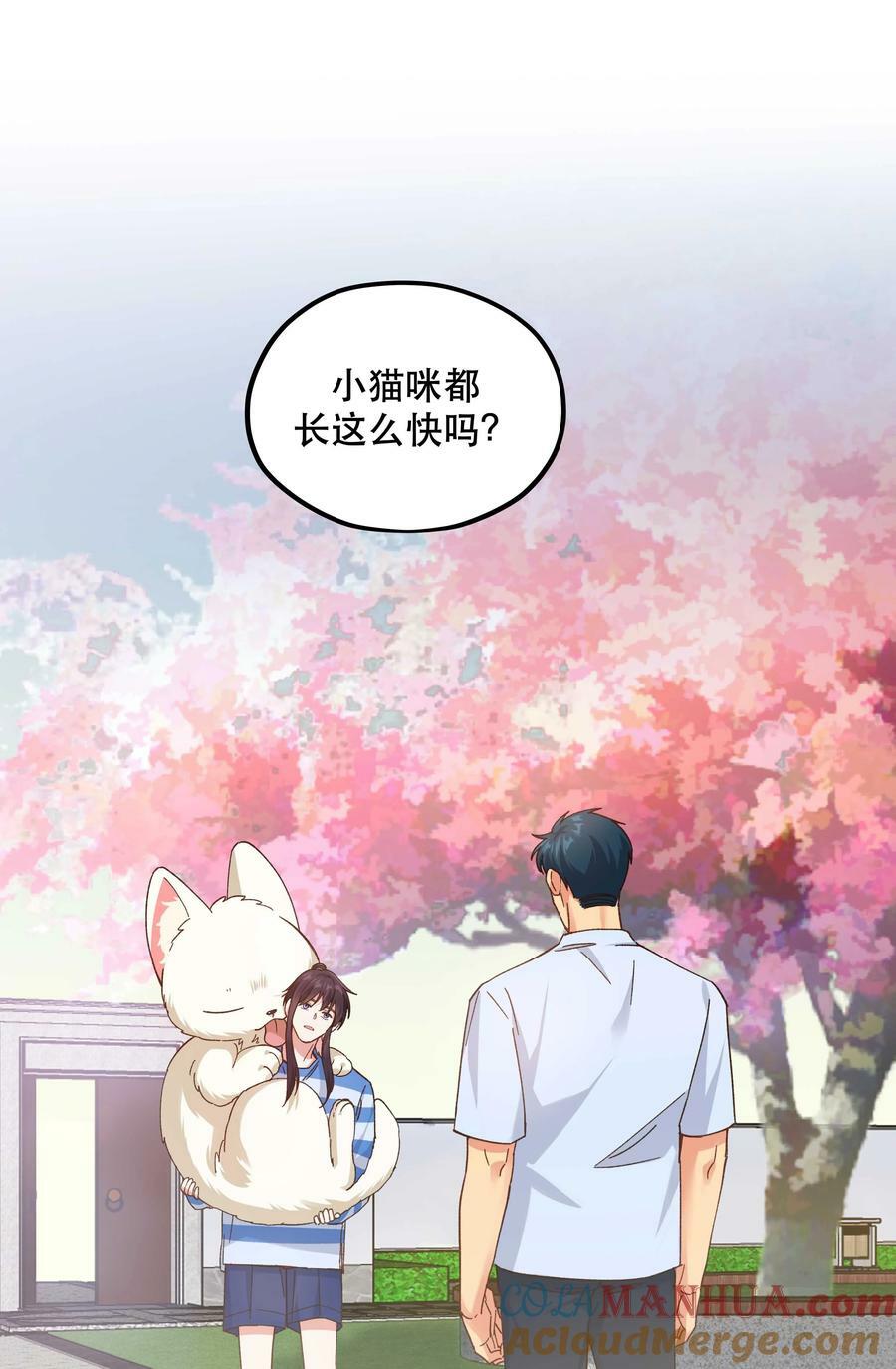 121 招财猫18