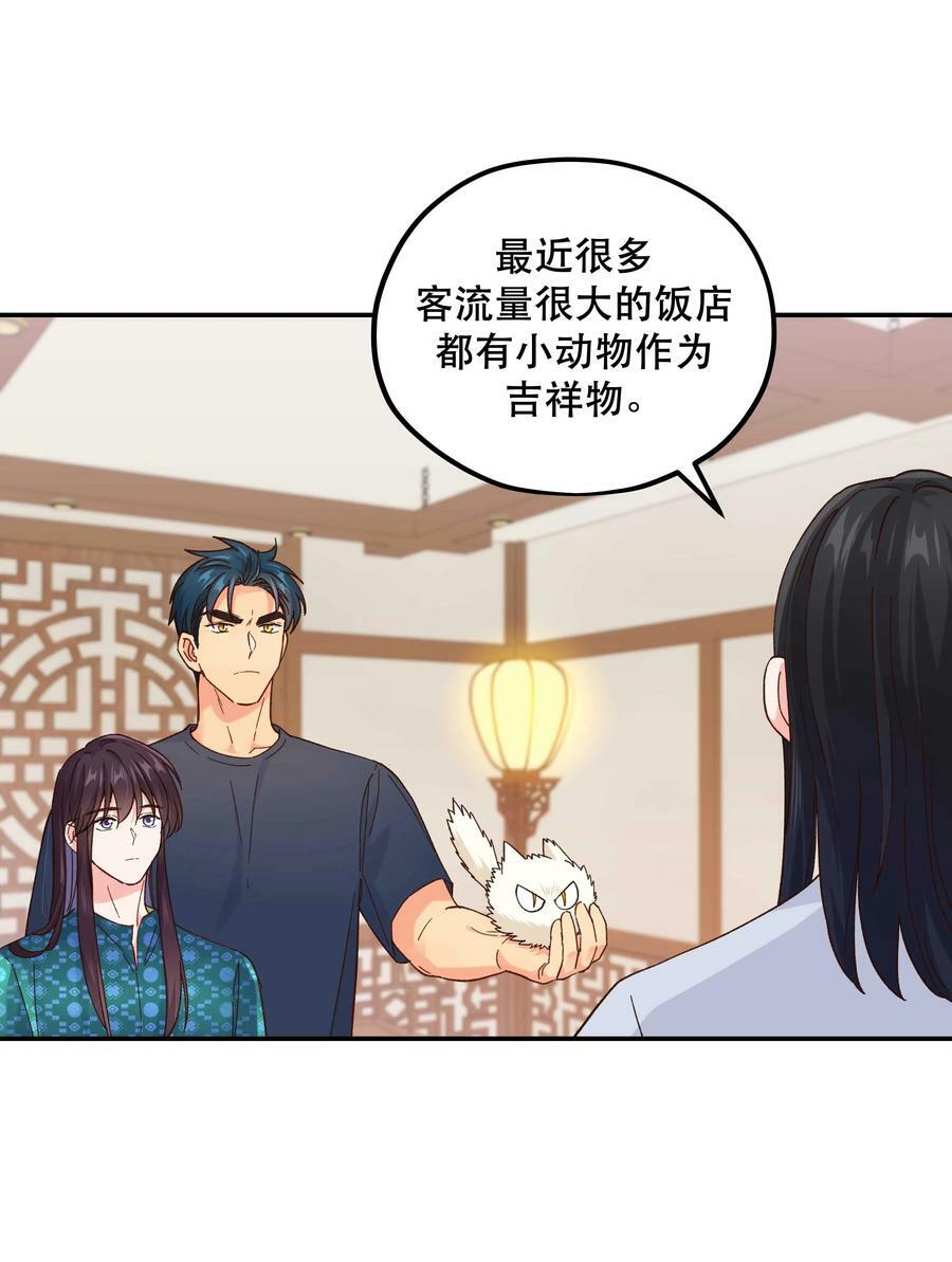 120 小~猫~咪~25