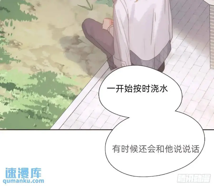Ch.146 舞会前奏31