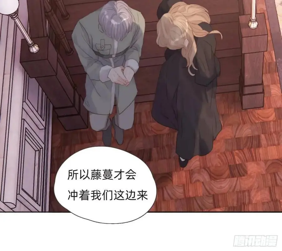 Ch.146 舞会前奏37
