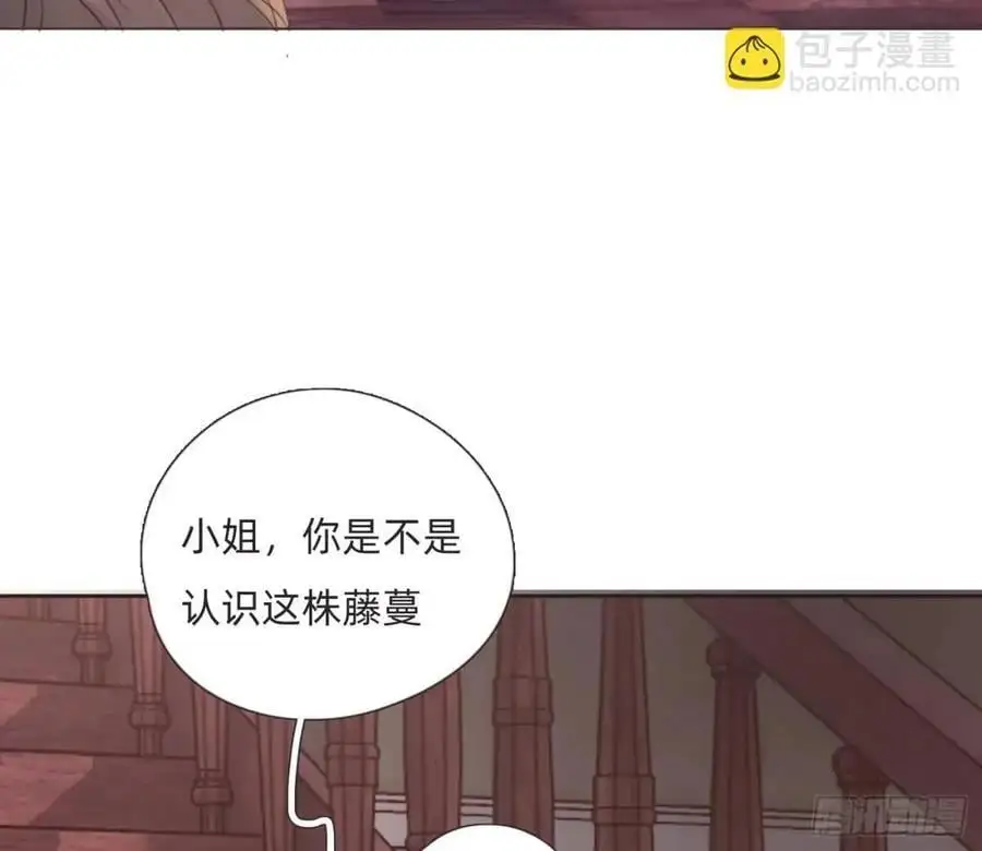 Ch.146 舞会前奏25