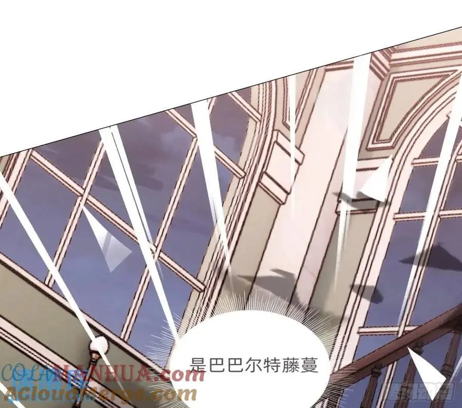 Ch.146 舞会前奏12