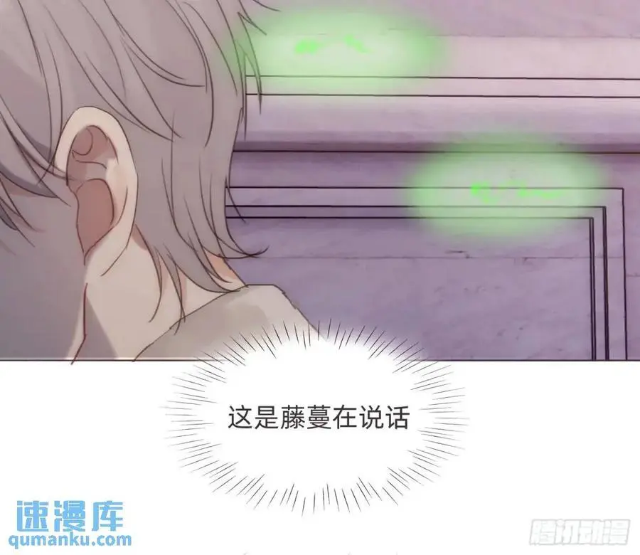 Ch.146 舞会前奏22