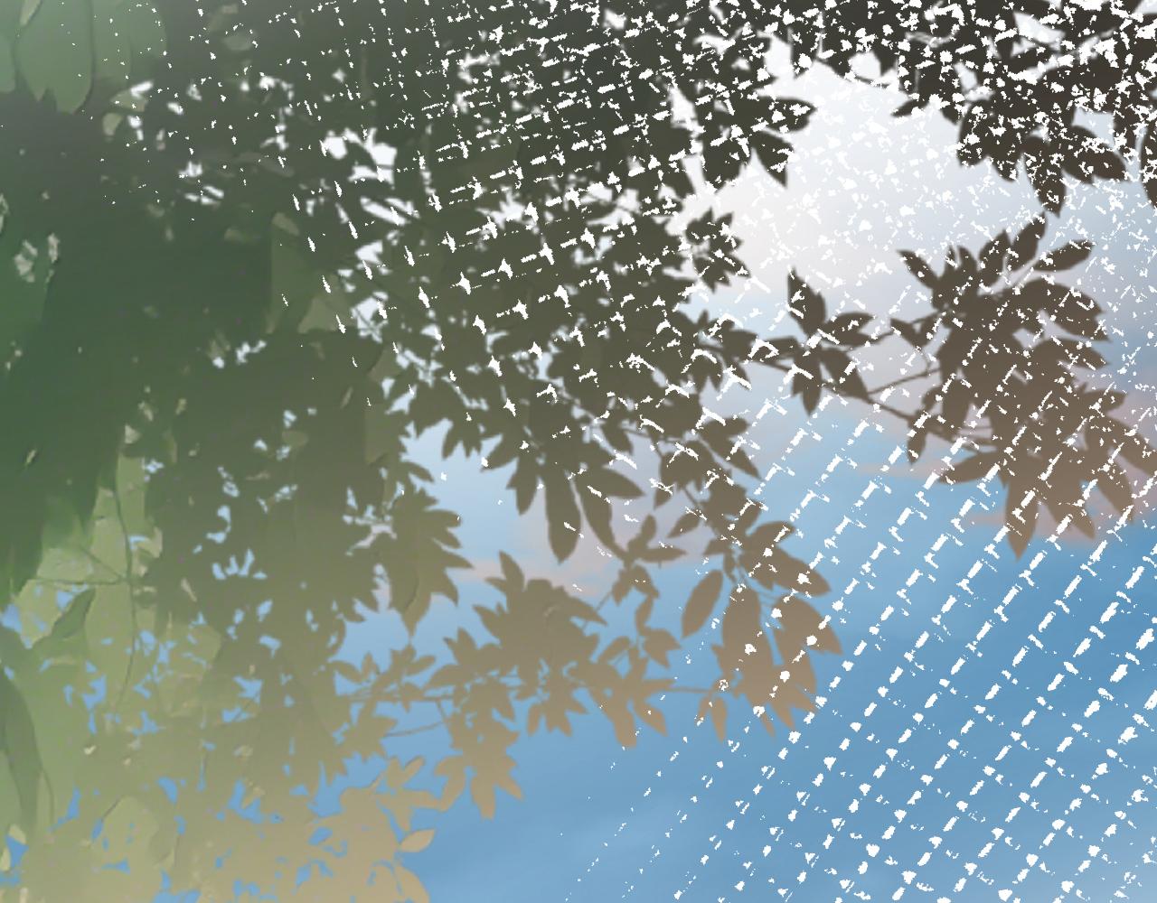 第74话 真迹31