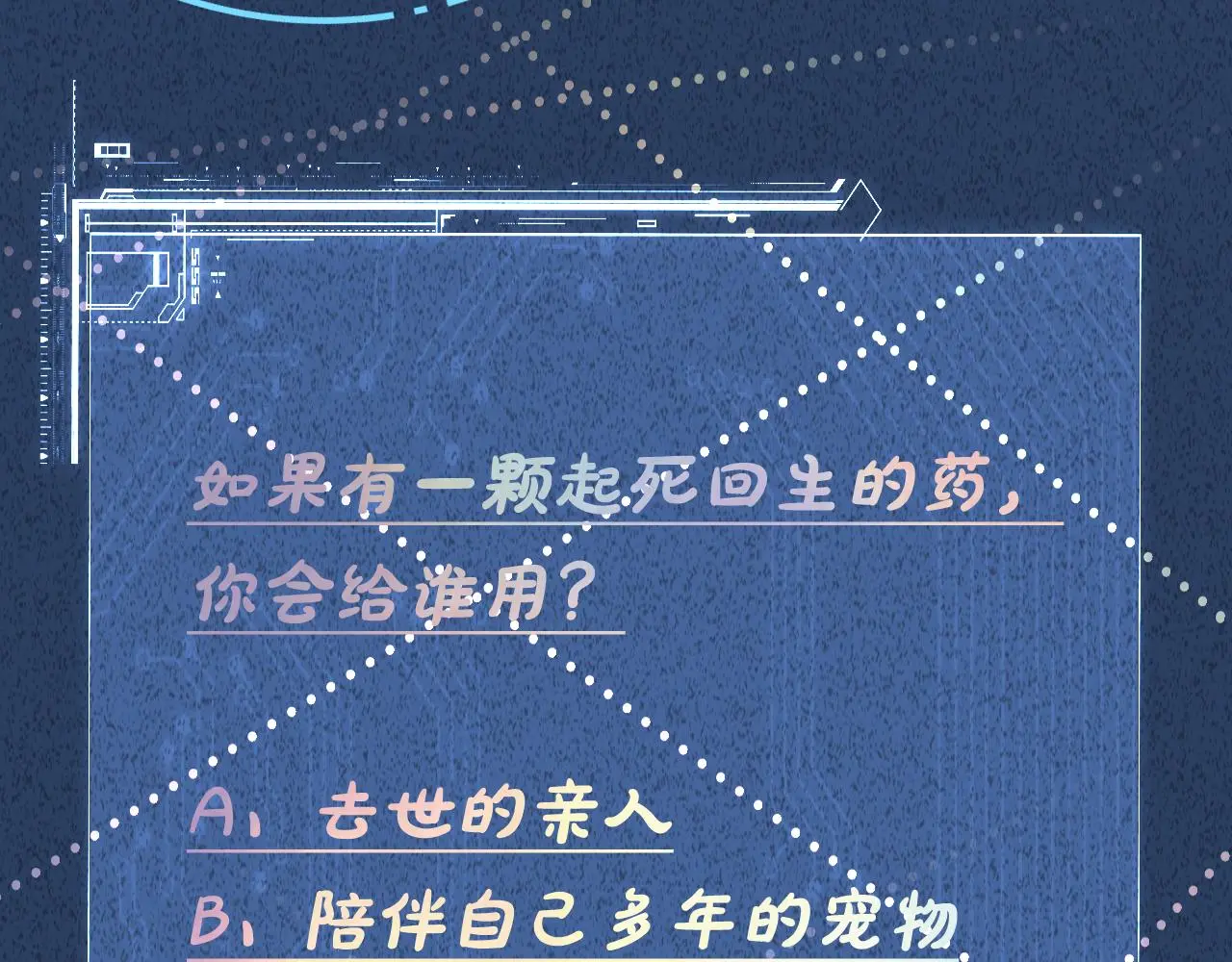 第243 地下拍卖会85