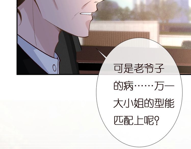 第158 宋琪的打算93