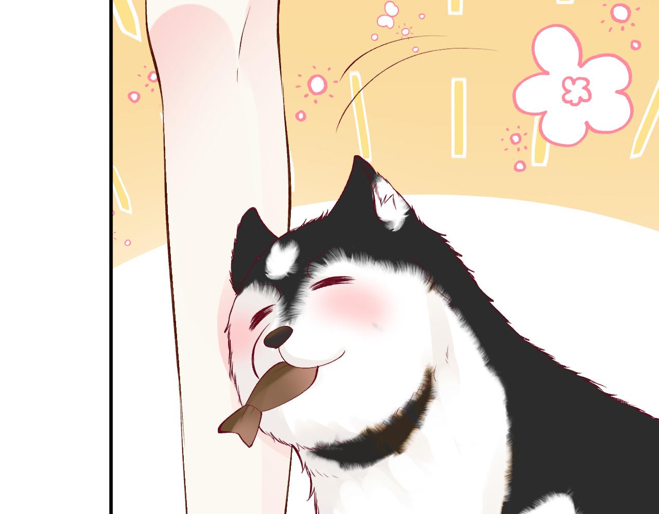 第151 高考11