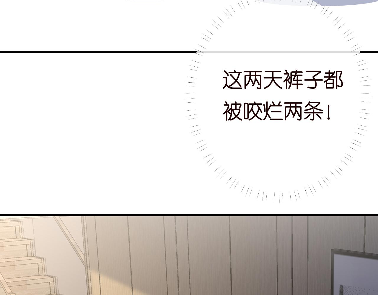 第150 二哥与狗30