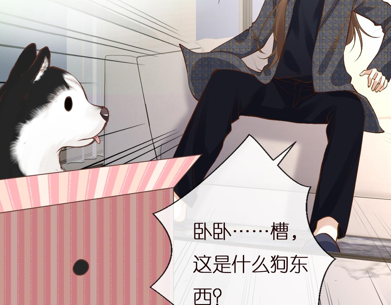 第149 生日礼物92