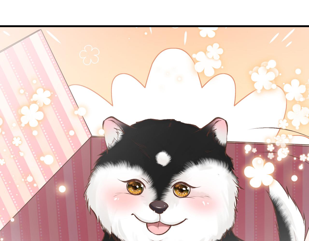 第149 生日礼物87