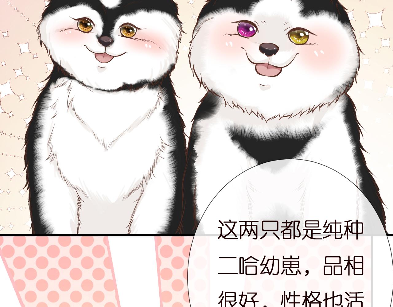 第149 生日礼物47