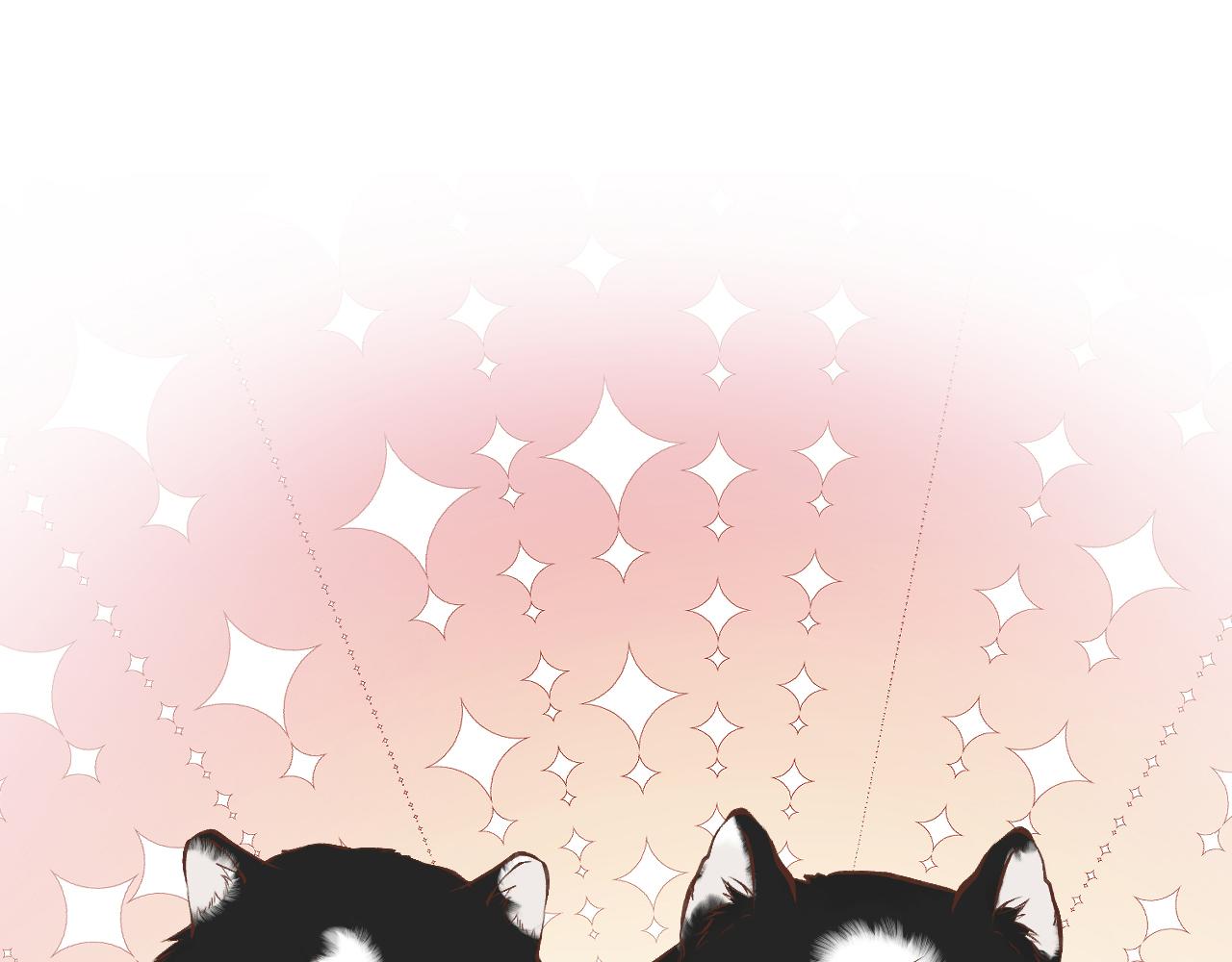 第149 生日礼物46