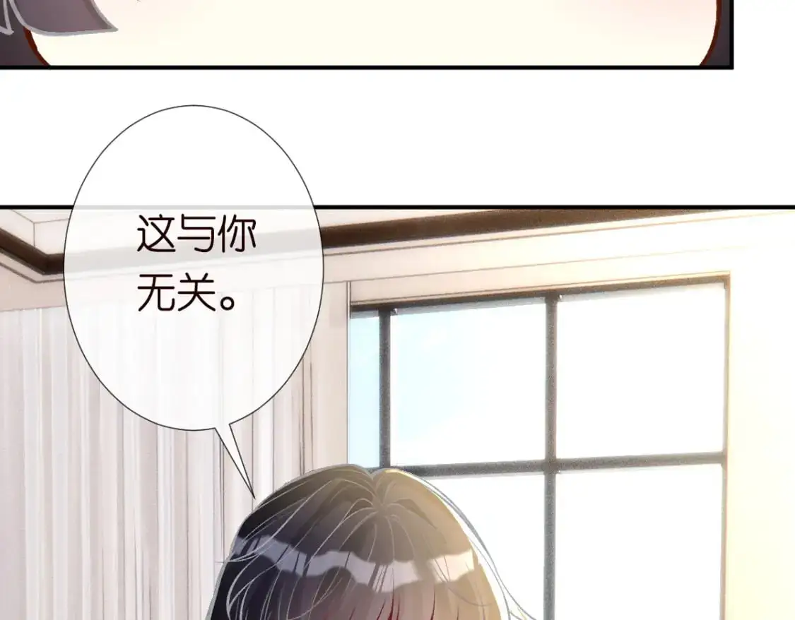 第267 这一票，我投他37