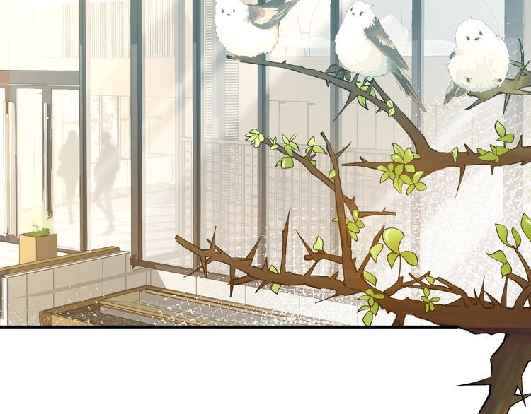 第171 大管家的礼物43