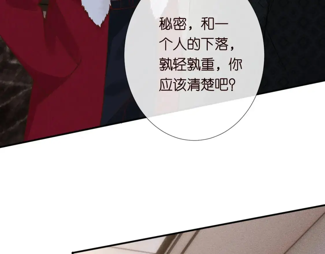 第267 这一票，我投他28