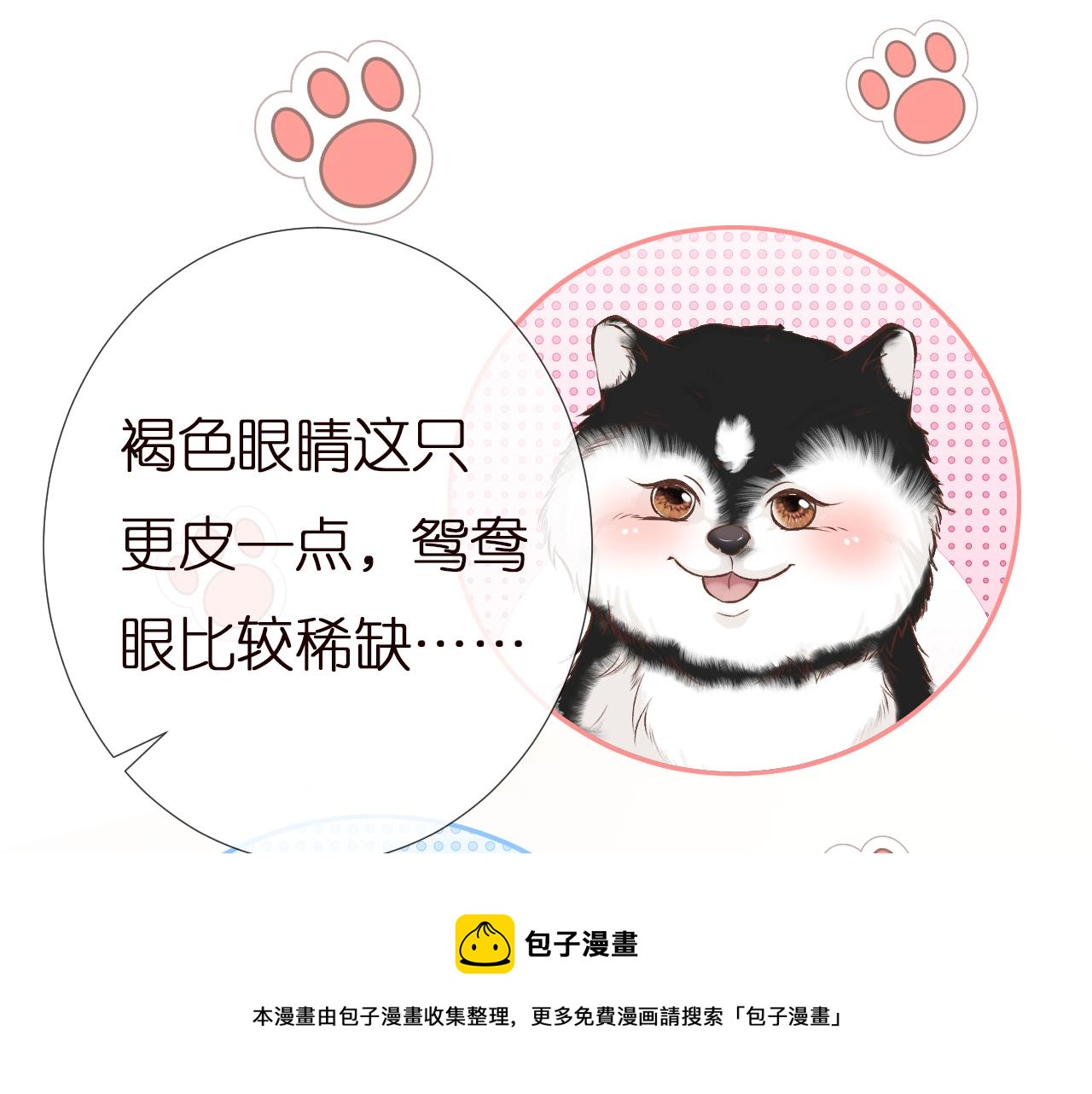 第149 生日礼物49